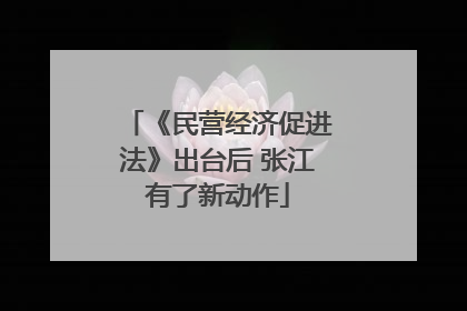 《民营经济促进法》出台后 张江有了新动作