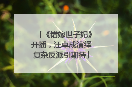 《错嫁世子妃》开播，汪卓成演绎复杂反派引期待