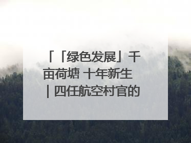 「绿色发展」千亩荷塘 十年新生｜四任航空村官的“生态接力”