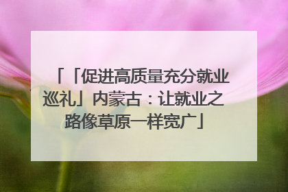 「促进高质量充分就业巡礼」内蒙古：让就业之路像草原一样宽广