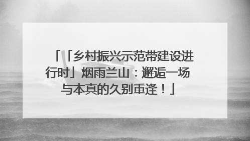 「乡村振兴示范带建设进行时」烟雨兰山：邂逅一场与本真的久别重逢！
