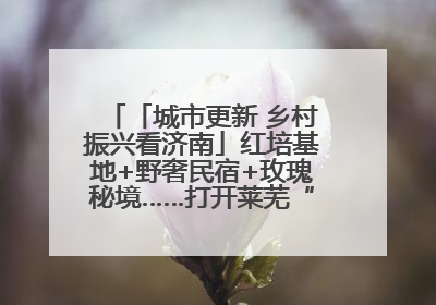「城市更新 乡村振兴看济南」红培基地+野奢民宿+玫瑰秘境……打开莱芜“齐鲁情映山红片区”的破圈秘籍