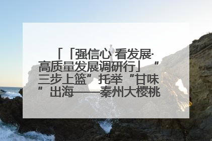 「强信心 看发展·高质量发展调研行」“三步上篮”托举“甘味”出海——秦州大樱桃高质量发展动作分解