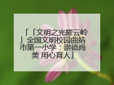 「文明之光耀云岭」全国文明校园曲靖市第一小学：崇德尚美 用心育人