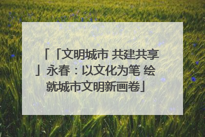 「文明城市 共建共享」永春：以文化为笔 绘就城市文明新画卷