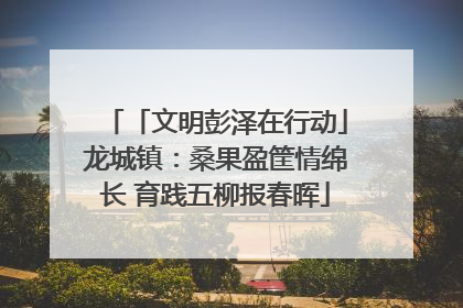 「文明彭泽在行动」龙城镇：桑果盈筐情绵长 育践五柳报春晖