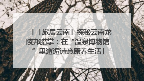 「旅居云南」探秘云南龙陵邦腊掌：在“温泉博物馆”里邂逅诗意康养生活