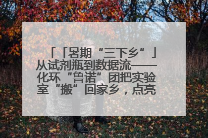 「暑期“三下乡”」从试剂瓶到数据流——化环“鲁诺”团把实验室“搬”回家乡，点亮桑梓求知路