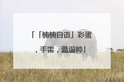 「楠楠自语」彩蛋，手雷，邋遢帅