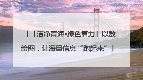 「洁净青海•绿色算力」以数绘图，让海量信息“跑起来”