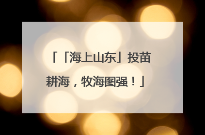 「海上山东」投苗耕海，牧海图强！