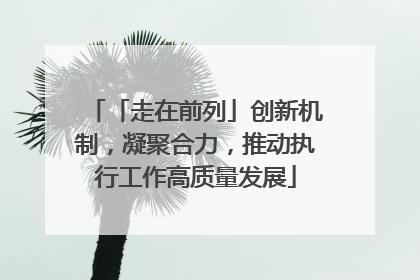 「走在前列」创新机制，凝聚合力，推动执行工作高质量发展