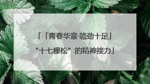 「青春华章·赣劲十足」“十七棵松”的精神接力