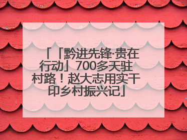 「黔进先锋·贵在行动」700多天驻村路！赵大志用实干印乡村振兴记