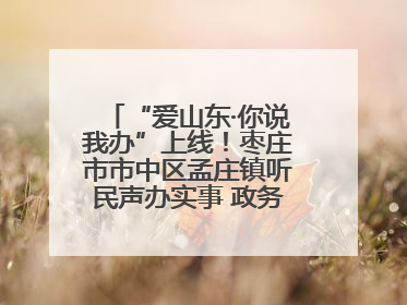 “爱山东·你说我办”上线！枣庄市市中区孟庄镇听民声办实事 政务服务暖心升级