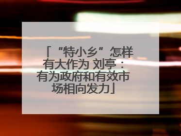 “特小乡”怎样有大作为 刘亭：有为政府和有效市场相向发力