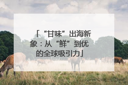“甘味”出海新象：从“鲜”到优的全球吸引力