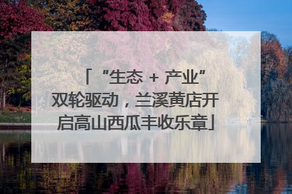 “生态 + 产业”双轮驱动，兰溪黄店开启高山西瓜丰收乐章