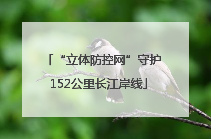 “立体防控网”守护152公里长江岸线