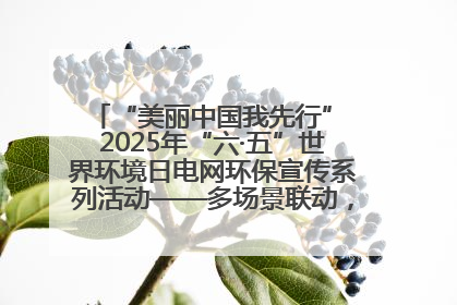 “美丽中国我先行” 2025年“六·五”世界环境日电网环保宣传系列活动——多场景联动，共筑生态发展新图景