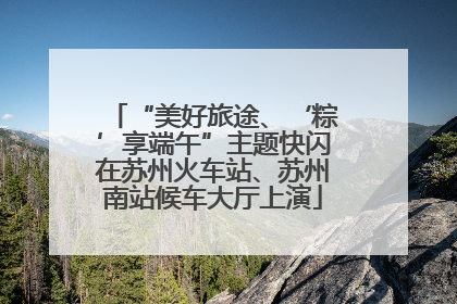 “美好旅途、‘粽’享端午”主题快闪在苏州火车站、苏州南站候车大厅上演