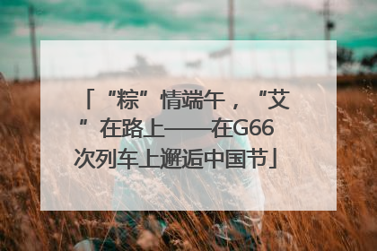 “粽”情端午，“艾”在路上——在G66次列车上邂逅中国节