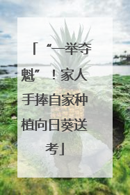 “一举夺魁”！家人手捧自家种植向日葵送考