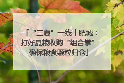 “三夏”一线丨肥城：打好夏粮收购“组合拳” 确保粮食颗粒归仓