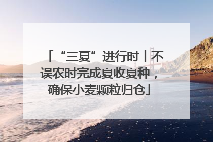 “三夏”进行时丨不误农时完成夏收夏种，确保小麦颗粒归仓