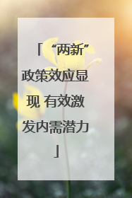 “两新”政策效应显现 有效激发内需潜力