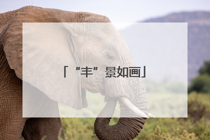 “丰”景如画