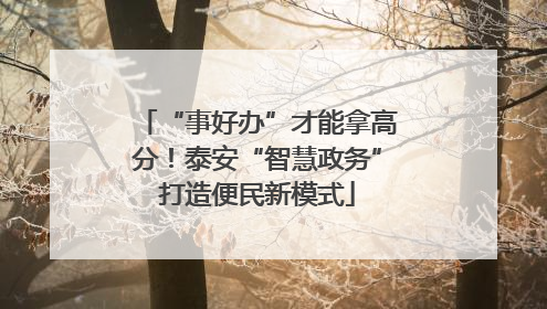 “事好办”才能拿高分！泰安“智慧政务”打造便民新模式