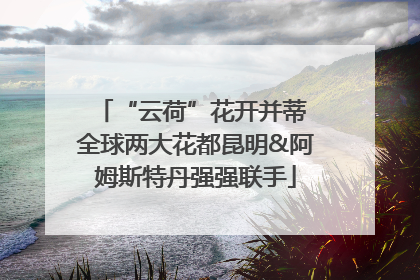 “云荷”花开并蒂 全球两大花都昆明&阿姆斯特丹强强联手