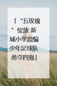 “五玫瑰”绽放 新城小学混编少年足球队勇夺四强
