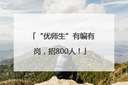 “优师生”有编有岗，招800人！