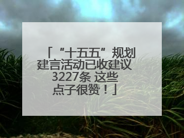 “十五五”规划建言活动已收建议3227条 这些点子很赞！
