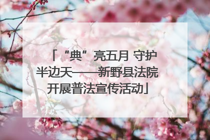 “典”亮五月 守护半边天——新野县法院开展普法宣传活动