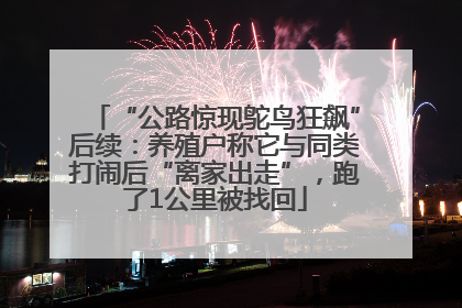 “公路惊现鸵鸟狂飙”后续：养殖户称它与同类打闹后“离家出走”，跑了1公里被找回