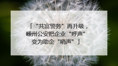 “共富警务”再升级，嵊州公安把企业“呼声”变为助企“哨声”