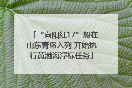 “向阳红17”船在山东青岛入列 开始执行黄渤海浮标任务