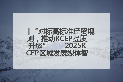 “对标高标准经贸规则，推动RCEP提质升级”——2025RCEP区域发展媒体智库论坛举行专题对话