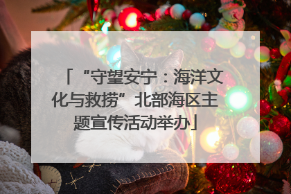 “守望安宁：海洋文化与救捞”北部海区主题宣传活动举办