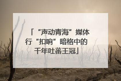 “声动青海”媒体行“扣响”暗格中的千年吐蕃王冠
