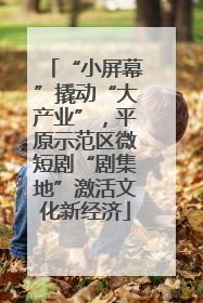 “小屏幕”撬动“大产业”，平原示范区微短剧“剧集地”激活文化新经济