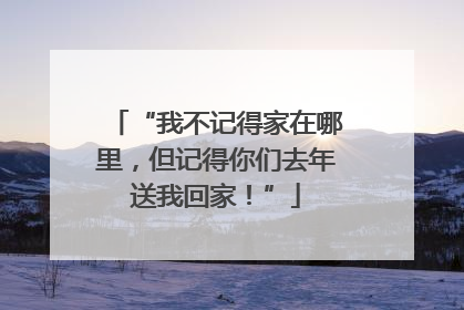 “我不记得家在哪里，但记得你们去年送我回家！”