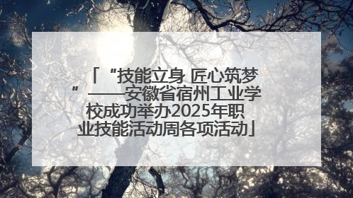 “技能立身 匠心筑梦”——安徽省宿州工业学校成功举办2025年职业技能活动周各项活动