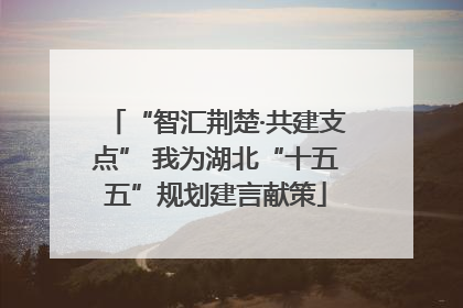 “智汇荆楚·共建支点” 我为湖北“十五五”规划建言献策