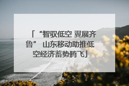 “智驭低空 翼展齐鲁” 山东移动助推低空经济蓄势腾飞