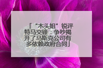 “木头姐”锐评特马交锋：争吵揭开了马斯克公司有多依赖政府合同
