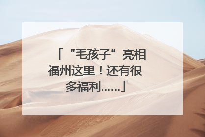 “毛孩子”亮相福州这里！还有很多福利……